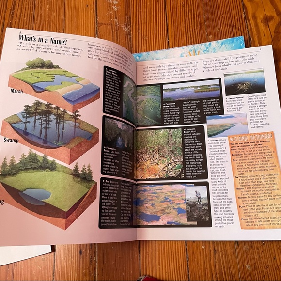 Kids Discover Bundle - Water Themed - Picture 8 of 14